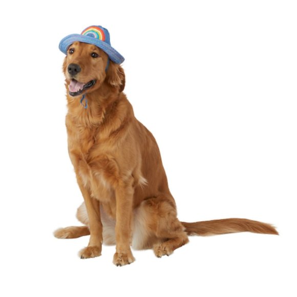You Are Loved | Pride Bucket Hat | Dog Hat - Picture 1 of 2